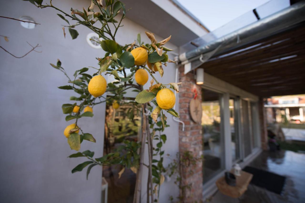 Sinanis Garden House Apartment Volos Exterior photo